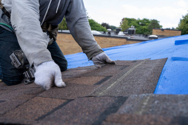 Best Metal Roofing Contractor  in Big Sky, MT
